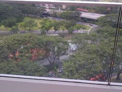 Trilight (D11), Condominium #405340441